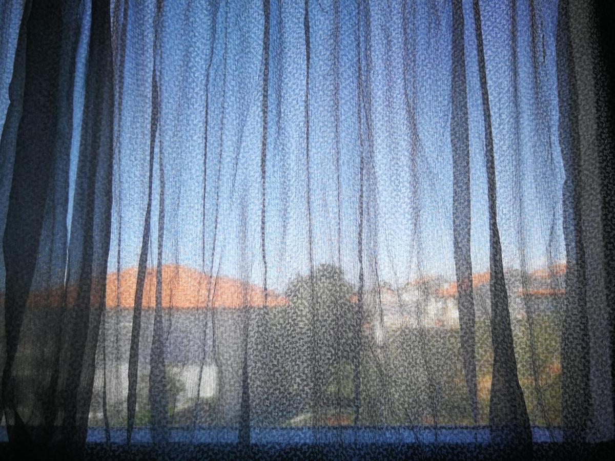 Apartment Brcic Biograd Na Moru Exteriér fotografie
