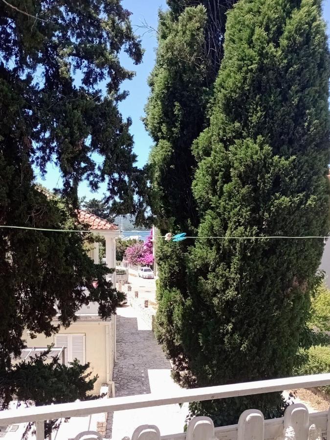 Apartment Brcic Biograd Na Moru Exteriér fotografie